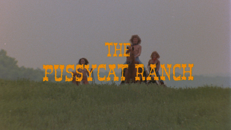 Pussycat Ranch / Here Comes the Bride
