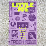 Little Joe: A book about queers and cinema, mostly - Paperback Book