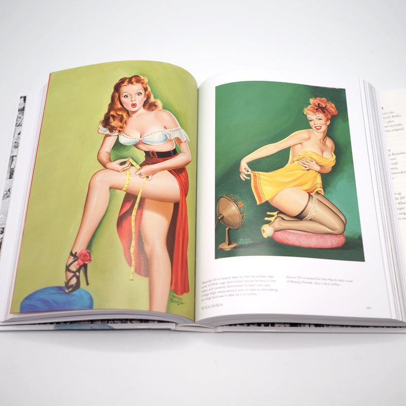 The Art of the Pin-up - Hardcover Book