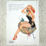 The Art of the Pin-up - Hardcover Book