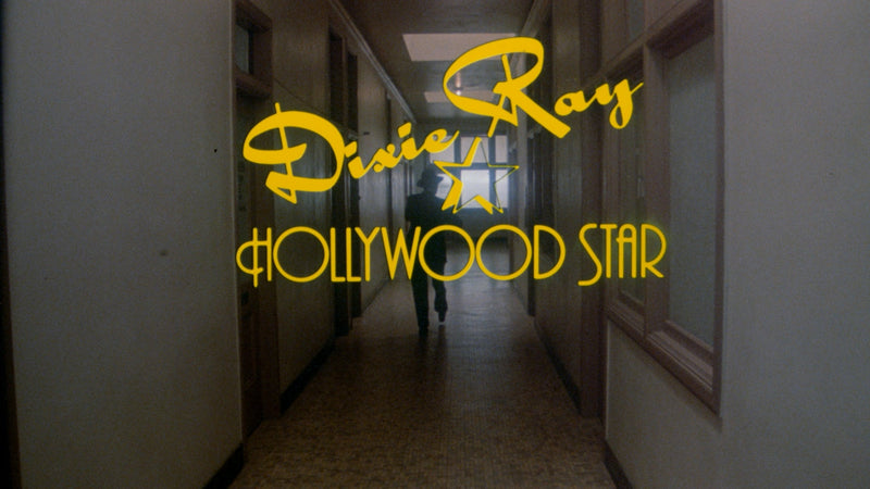 Dixie Ray Hollywood Star