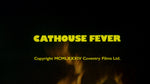 Purely Physical / Cathouse Fever