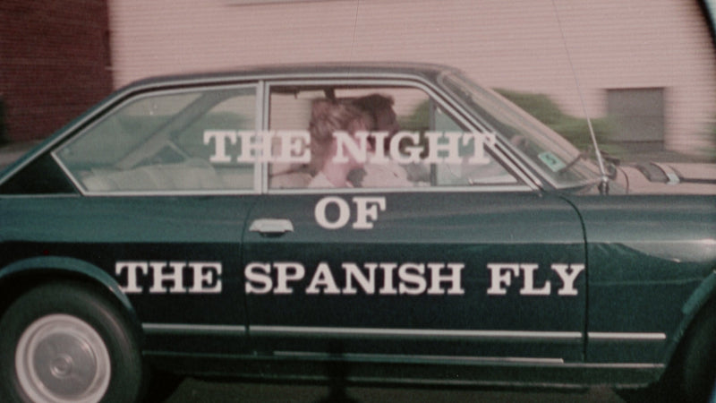 The Night Bird / Night of the Spanish Fly