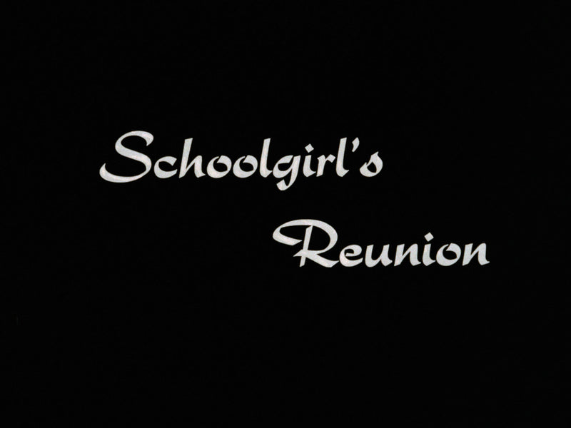 School Girl Reunion / Sensuous Fly Girls